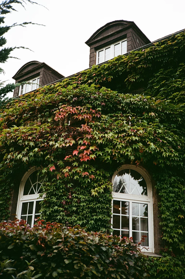 Hochzeitsfotografin Köln